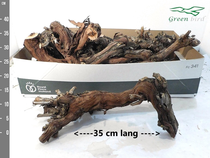 <h4>Druiven stam brokken 35 cm.</h4>