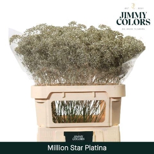 Gyps Million Star L80 Metallic platina