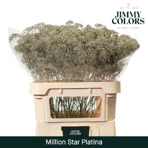 <h4>Gyps Million Star L80 Metallic platina</h4>