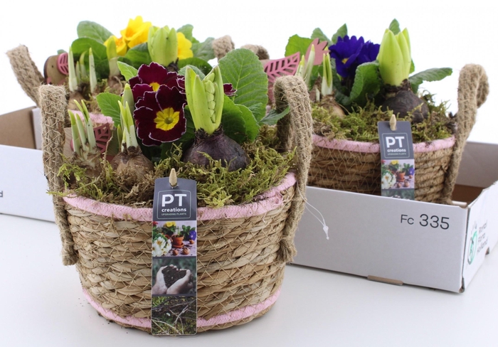 <h4>ARR PL IN SCHAAL</h4>