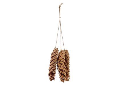 <h4>Nature Hanger Strobus Natural 3dlg</h4>