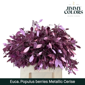 Pop Bes Per Bos 200g Metallic Cerise