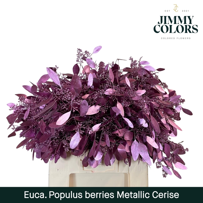 <h4>Pop Bes Per Bos 200g Metallic Cerise</h4>