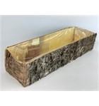 <h4>POT BIRCH 47*14*9</h4>