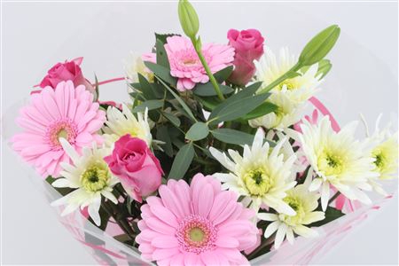 <h4>Boeket Splash Roze</h4>