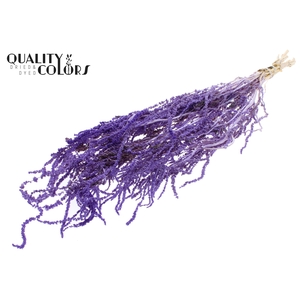 Hang Amaranthus ±70cm Preserved per bunch Bleached Milka