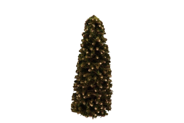 <h4>Festive Tree Poplar Moss 22x22x50cm</h4>