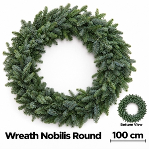 ABIES NOBILIS BLAUW
