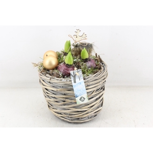 arr4 Hyacint JS - Mand luxe rond x3