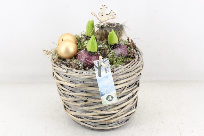 <h4>arr4 Hyacint JS - Mand luxe rond x3</h4>