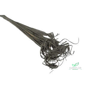 CURLY TING TING 50ST LIGHT GREY