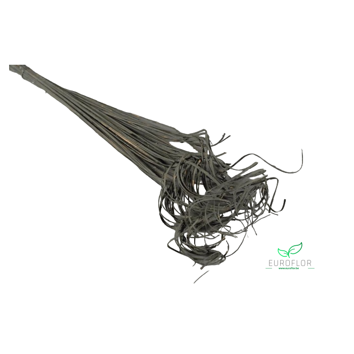 <h4>CURLY TING TING 50ST LIGHT GREY</h4>