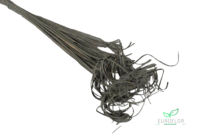 CURLY TING TING 50ST LIGHT GREY