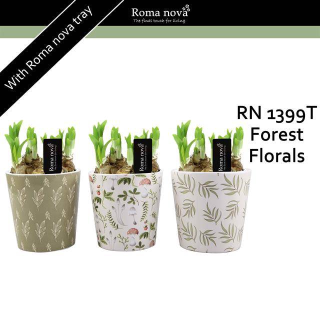 <h4>arr4 Narcis RN - Forest florals</h4>