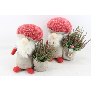 arr4 Outdoor JS - Paddenstoel gnome x5