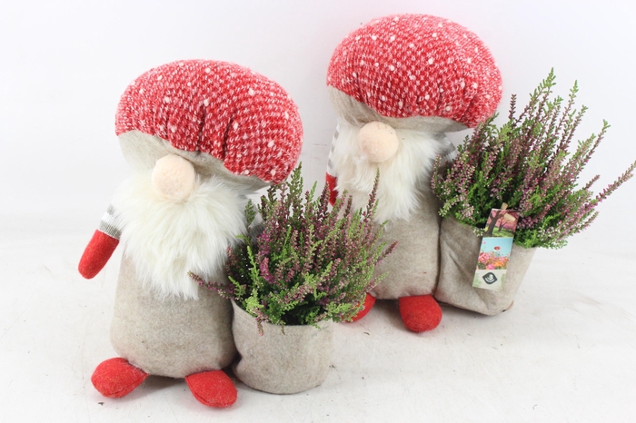 <h4>arr4 Outdoor JS - Paddenstoel gnome x5</h4>