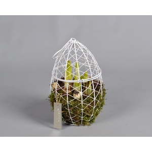 Metaal rek met Narcis Tat