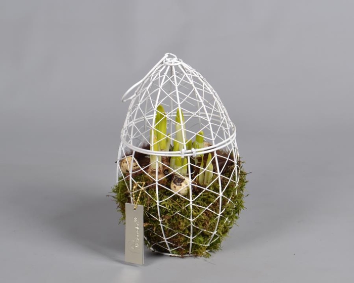 <h4>Metaal rek met Narcis Tat</h4>