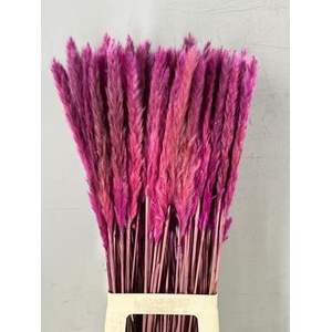 Df Pampas Silvy Bs 10pc Purple