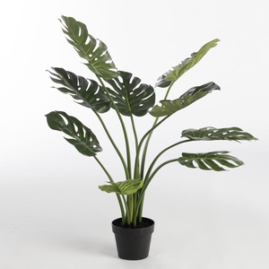 AF Philo x9 pot H90cm Green