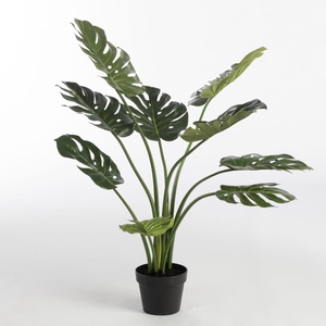 AF Philo x9 pot H90cm Green