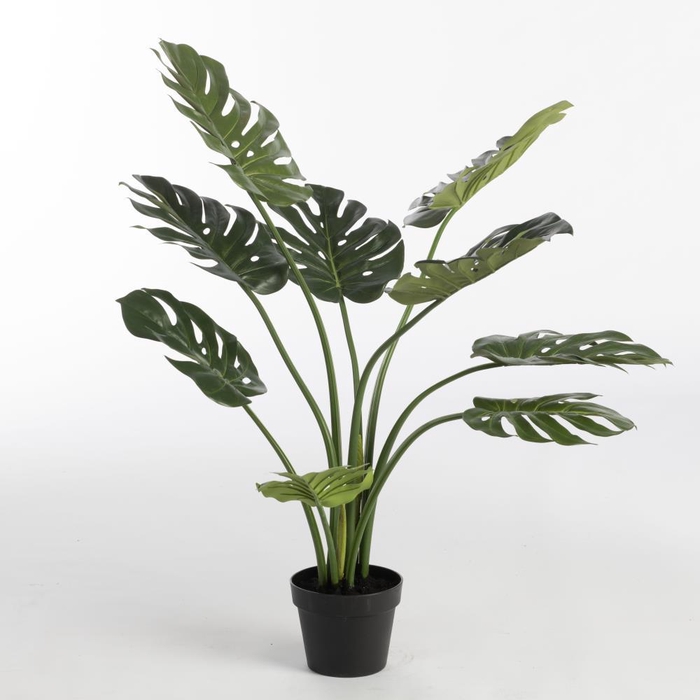 <h4>AF Philo x9 pot H90cm Green</h4>