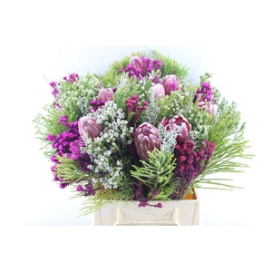 PROTEA PER BOS