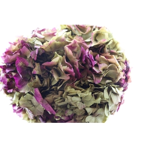 Pres Hydrangea Natural Lilac Bunch