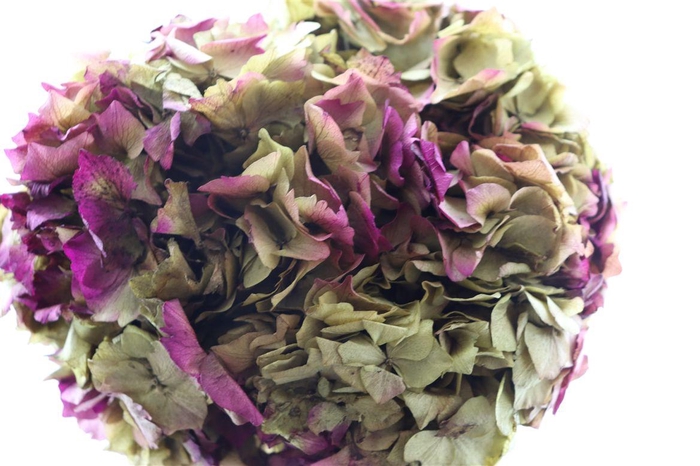 <h4>Pres Hydrangea Natural Lilac Bunch</h4>