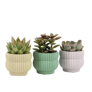 7501366: Solutionss Consideration