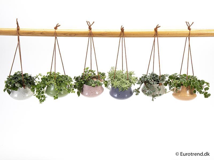 <h4>E 4527 stonelook mini ampel</h4>