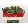 Hypericum Mellow Romance Spray