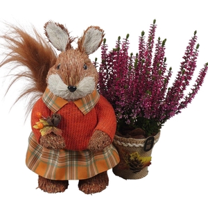 Arr.   Tuinplanten L%