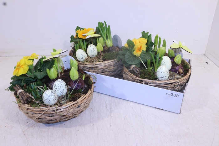 <h4>ARR TUINPLANTEN</h4>