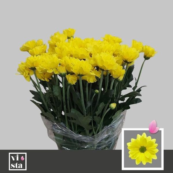 <h4>CHR T CELEBRATE</h4>