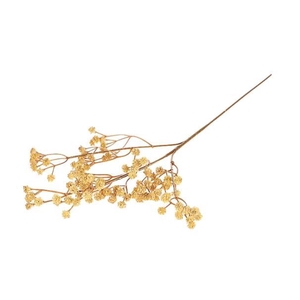 Branch Gypsophila L65