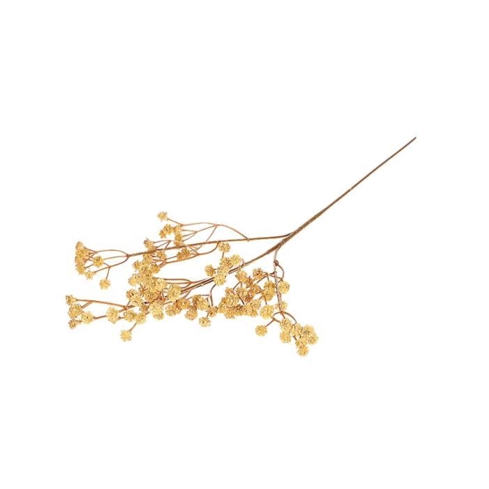 <h4>Branch Gypsophila L65</h4>