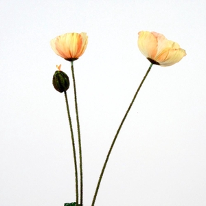 AF Papaver L75cm L.Peach