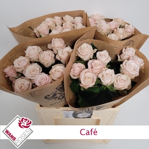R GR CAFE!