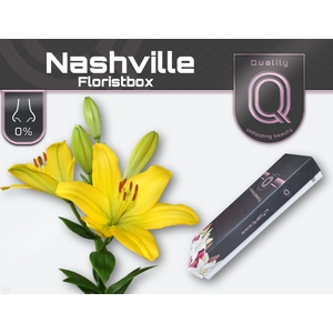 LI LA NASHVILLE FLORISTBOX 5+