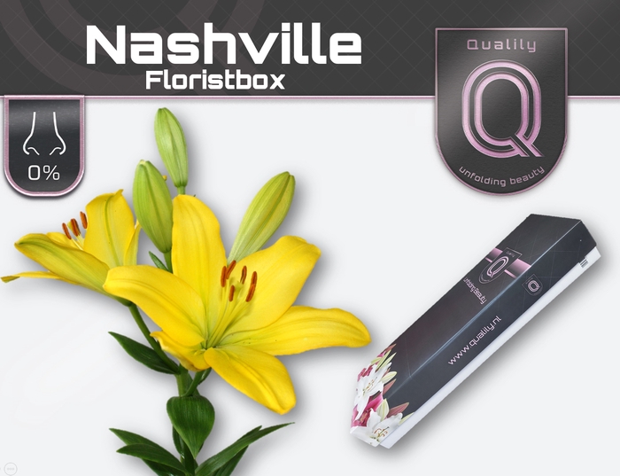 <h4>LI LA NASHVILLE FLORISTBOX 5+</h4>