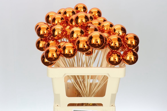 <h4>X-mas Balls Copper</h4>