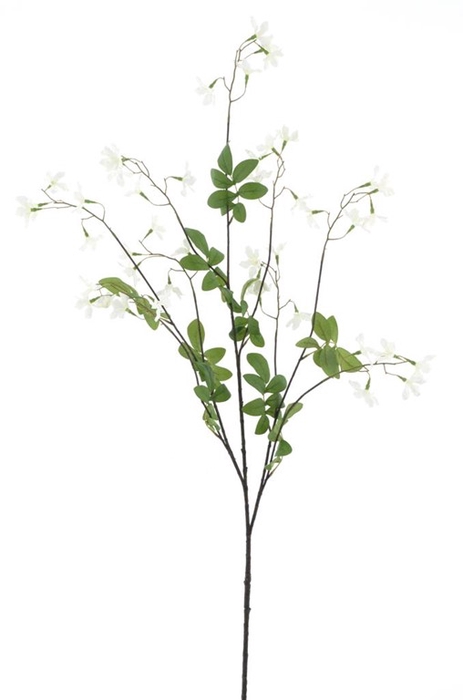 <h4>Lobelia spray 138cm cream</h4>