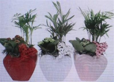 <h4>5470 Ker Hart Cham</h4>