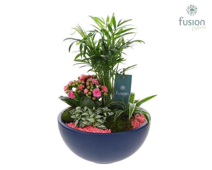 <h4>Keramiek Moonschaal Large met Arrangement</h4>