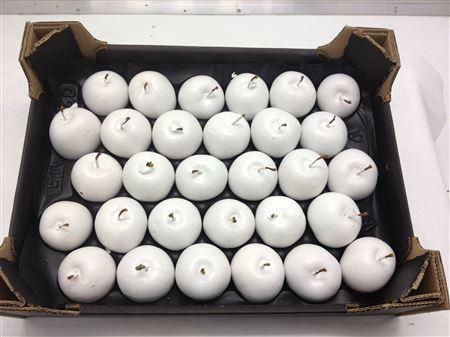 <h4>Deco Waxappel Wit</h4>