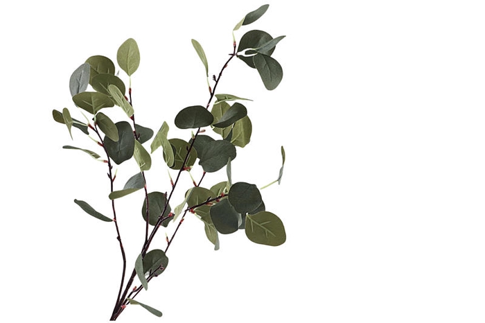 <h4>Eucalyptus Green</h4>