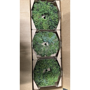 Sierfruit Krans H%