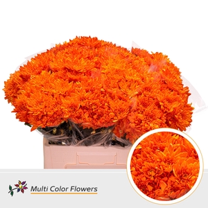 Chr T Pina Colada Oranje (van Geel)