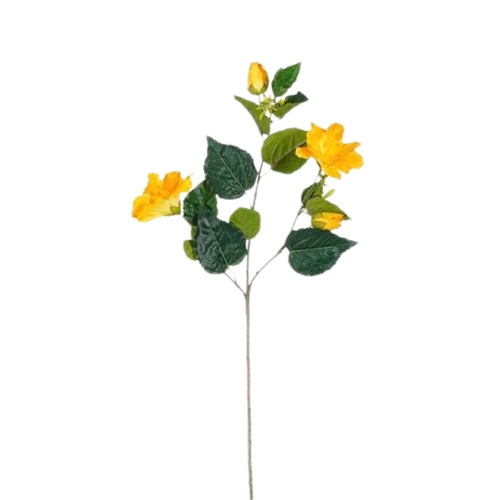 <h4>Hibiscus 76cm</h4>
